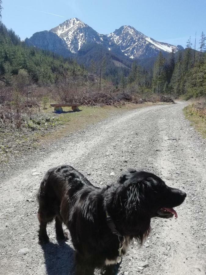 Appartamento Privát u Babičky Ždiar Esterno foto